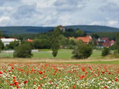 Pension Waldoase Hirschbuchenkopf
