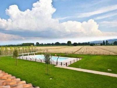 Le Rondini Di Francesco