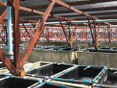 Sixteen Guest House on Main