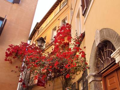 Residenza Bollo Apartments