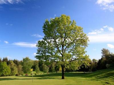 Bowood Spa & Golf Resort