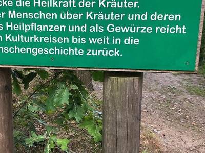 Feriendorf Schlossberg