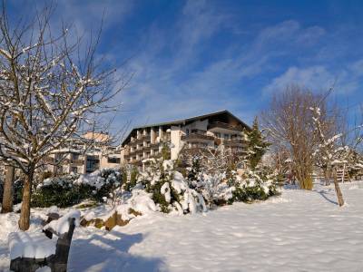 Schwanen Kälberbronn