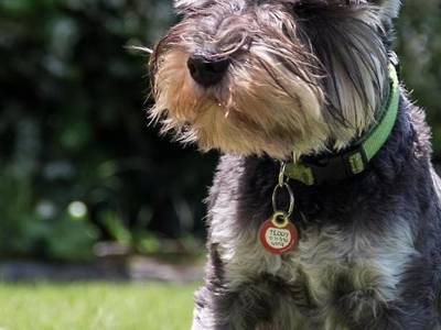 The Lookout Guest House