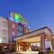Holiday Inn Express Hotel & Suites Dallas West