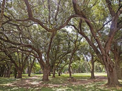 Holiday Inn & Suites Houston West - Westway Park