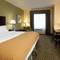 Holiday Inn Express Hotel & Suites Saint Augustine North