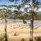 San Marino Sunny Resort by Valamar - Family Hotel Lopar