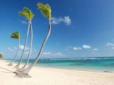 Sirenis Cocotal Beach Resort