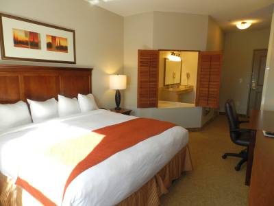 Country Inn & Suites by Radisson, Braselton, GA