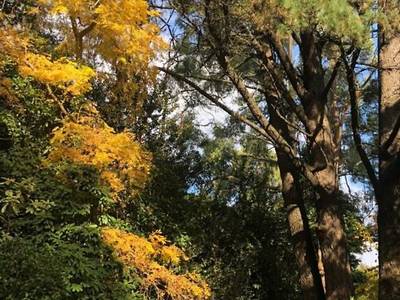 Lochiel Luxury Accommodation