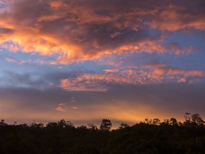 Cedar Park Rainforest Resort