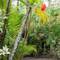 Kipara Tropical Rainforest Retreat