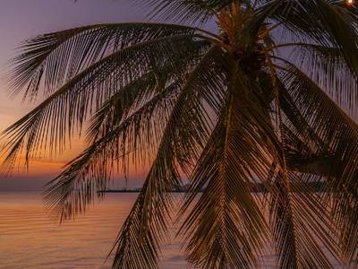 Tango Luxe Beach Villa