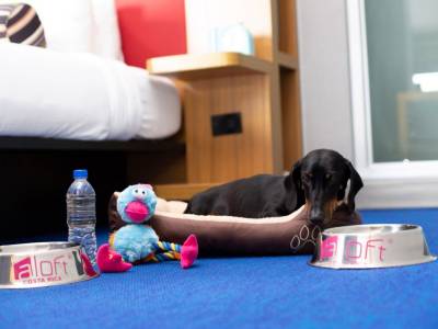 Aloft San Jose Hotel