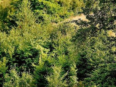 Wellness-Hotel Sonnengut