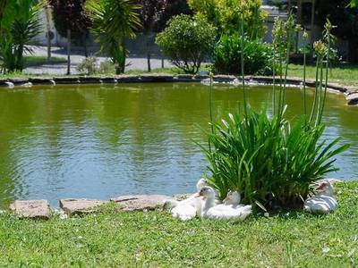 Villa Sandini Hotel e Spa