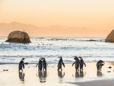 Simon's Town Guest House