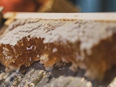 Hotel Crozzon Spa & Wellness