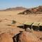 Namib Naukluft Lodge