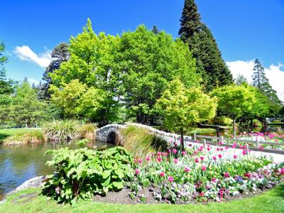 Alexis Motels & Apartments