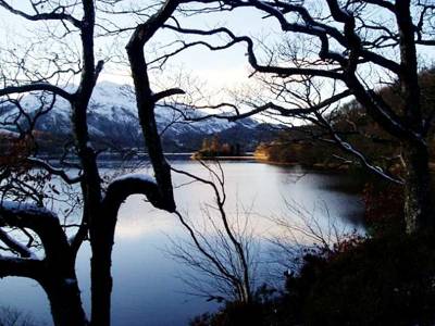 Abbotsford Lodge - Guest house