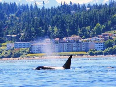 April Point Resort & Spa