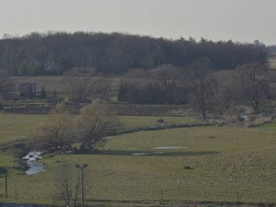 Holiday Inn Express & Suites Waterloo - St. Jacobs Area