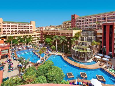 Best Jacaranda (Foto)