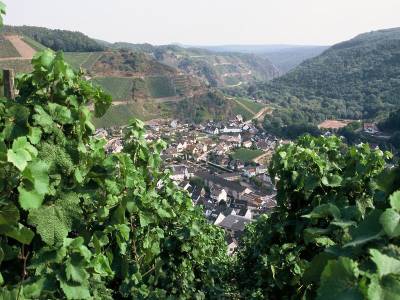 BONNOX Boardinghouse & Hotel