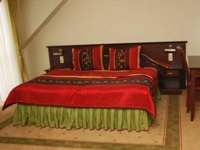 Hotel Magnat Airport