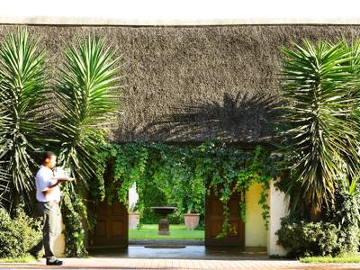 Elephant House (Foto)