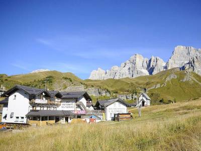 Alpenrose Passo Rolle