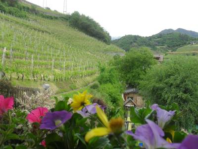 Hotel And Appartements Spitalerhof