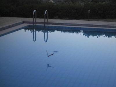 Traditionelles Landhaus Elia