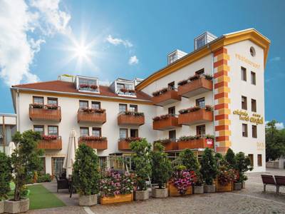 Wellness Hotel Engel