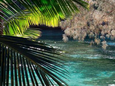 Le Meridien Ile Des Pins (Foto)