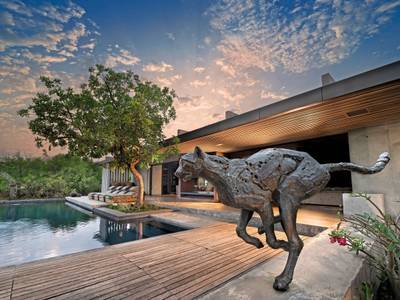 Cheetah Plains Game Reserve