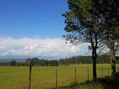 Protea Wilds Retreat