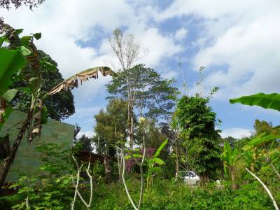 Senetan Villas & Spa Resort