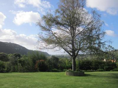 Piesang Valley Lodge