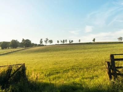 Dorint Hotel & Sportresort Winterberg Hotel