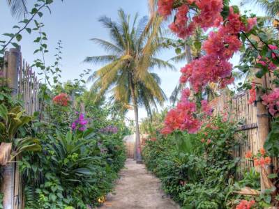 Les Jardins De Gili