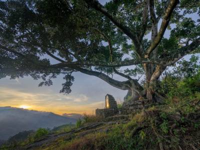 Madulkelle Tea and Eco Lodge