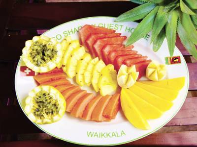 Rico-Shadow Guest House