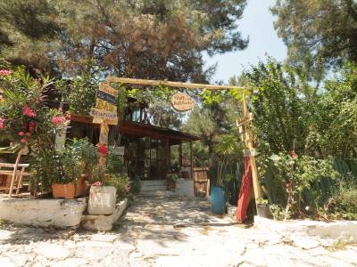 Kayserkaya Dag Evleri