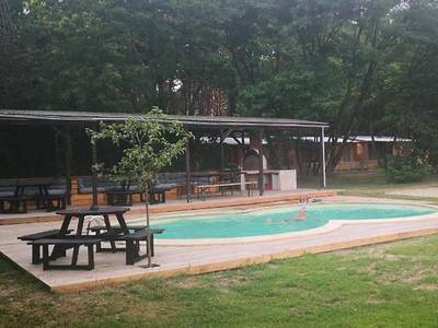 Ferienparadies Waldidylle