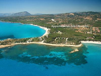 Appartamenti Le Ginestre e Gli Oleandri