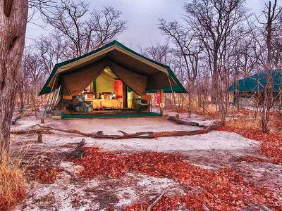 Hyena Pan Tented Camp