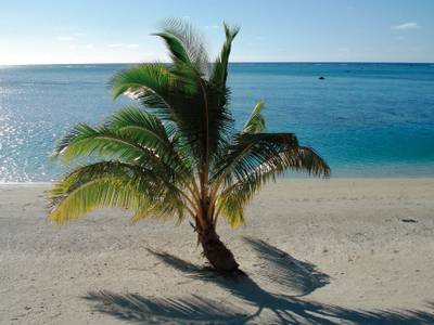 Paradise Cove (Foto)